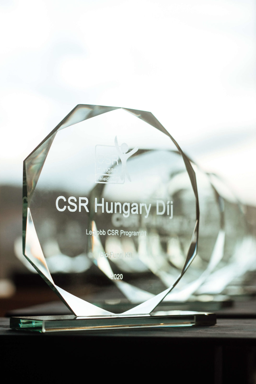CSR Hungary Díj